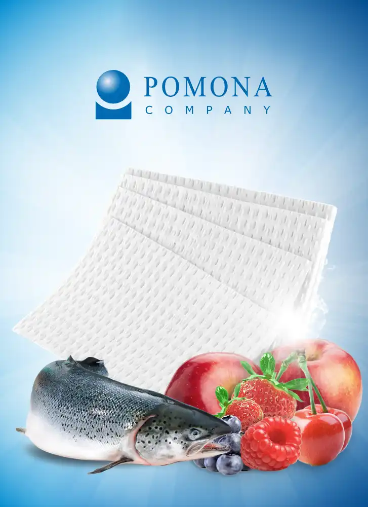 Product flyer pad eco